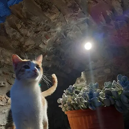 Tenuta Il Giardino Di Eros